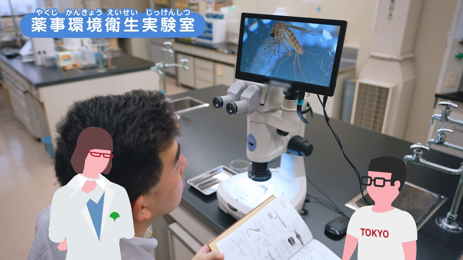 薬事環境衛生実験室の顕微鏡で蚊を観察する写真