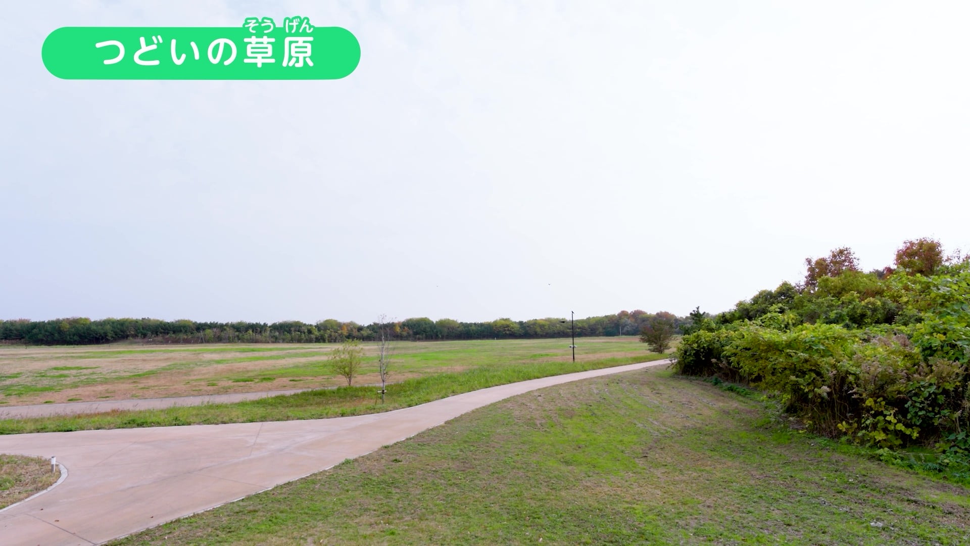 つどいの草原の写真