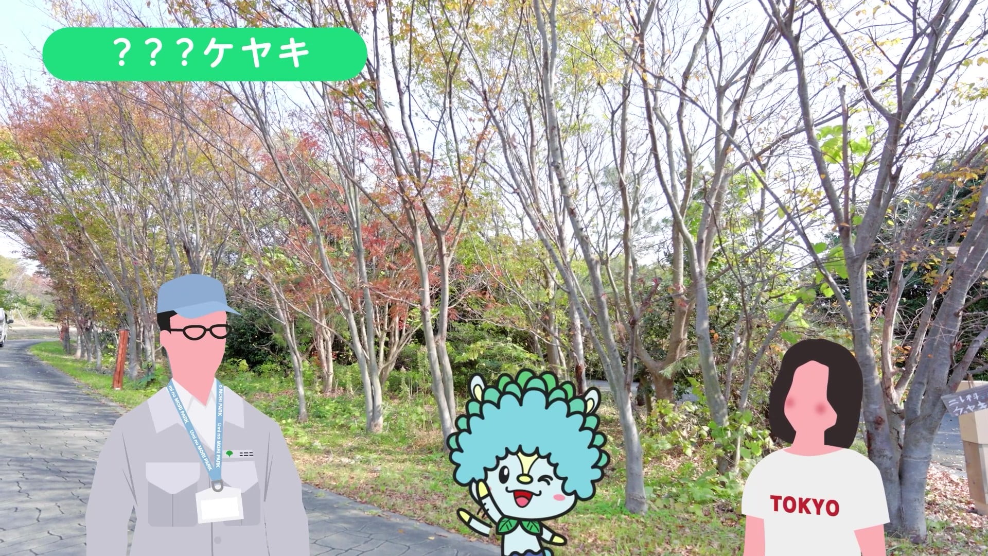 ケヤキの木の写真