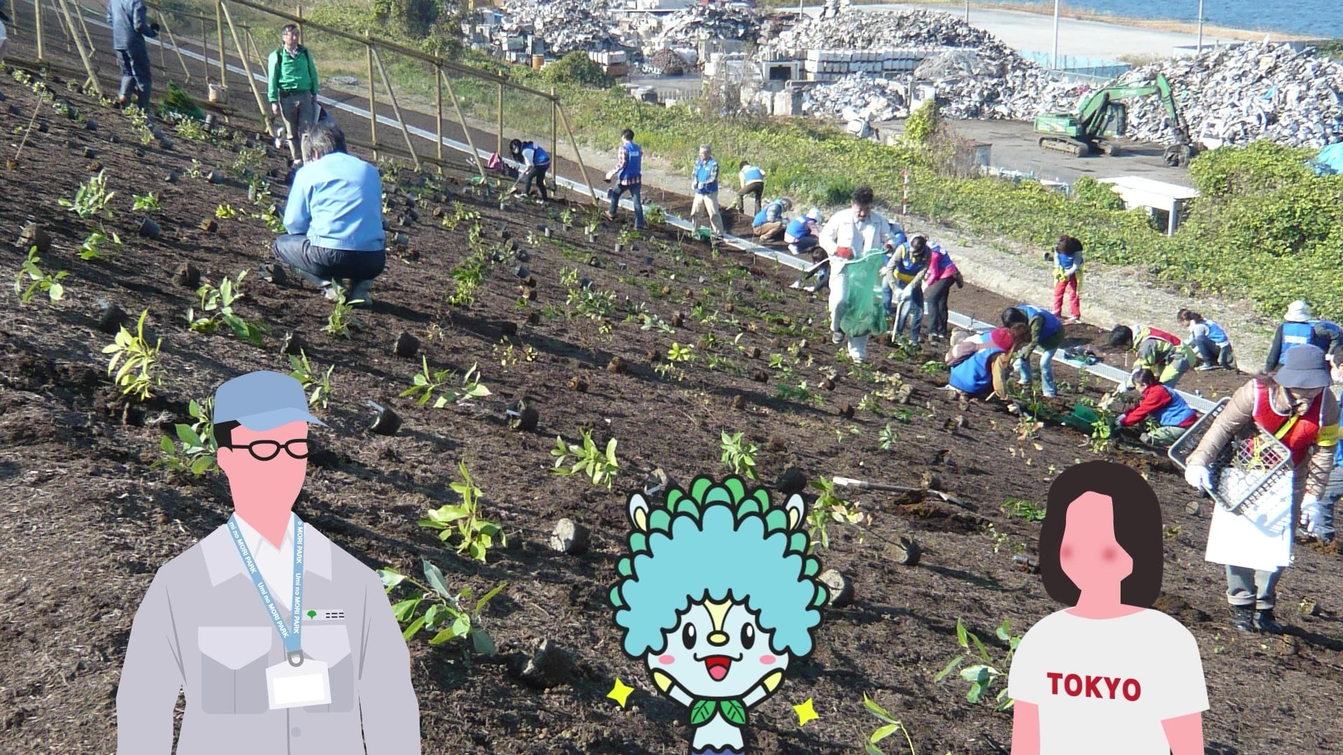海の森公園にたくさんの苗を植えている写真
