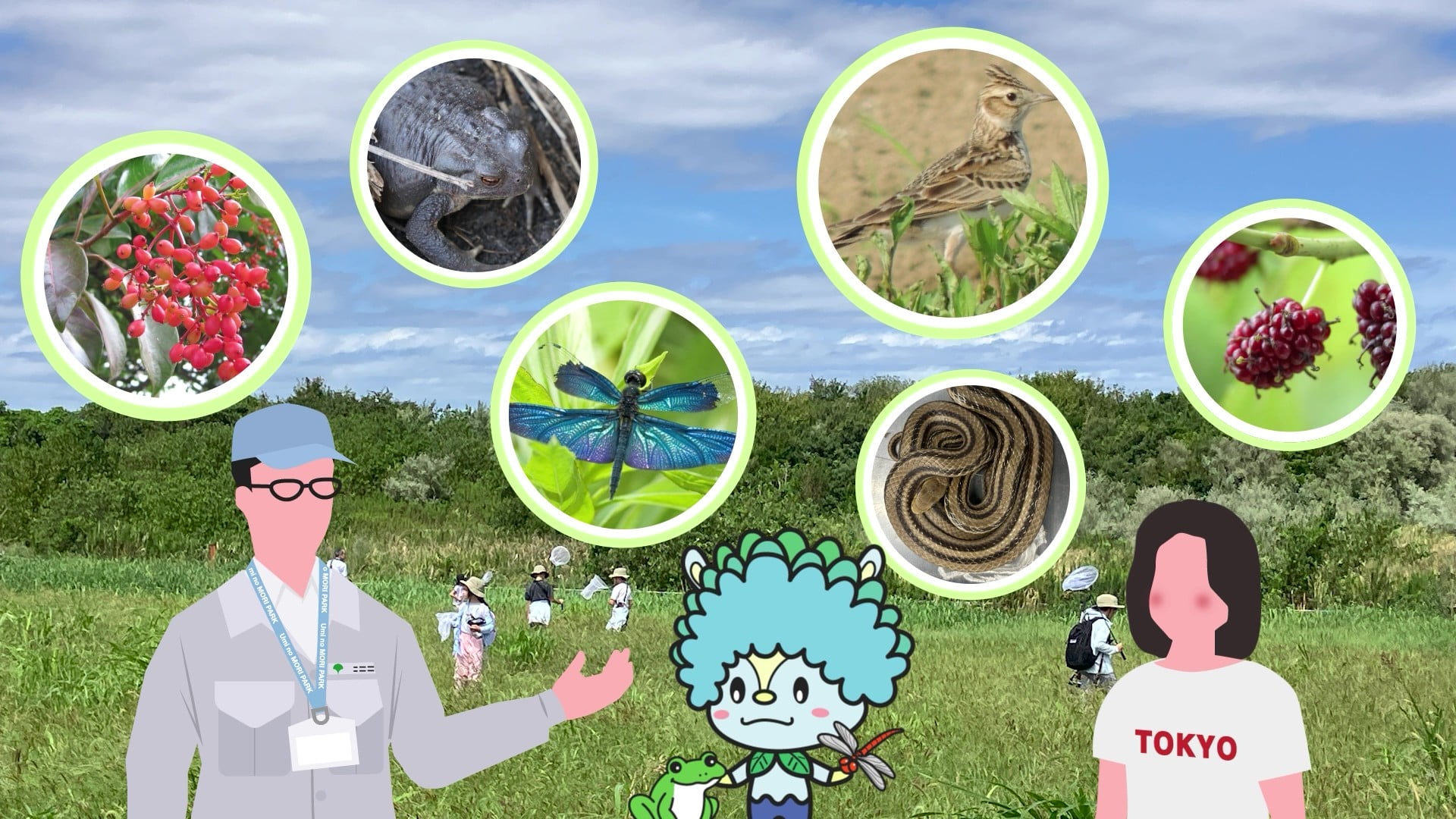 海の森公園に生息する植物や動物の写真