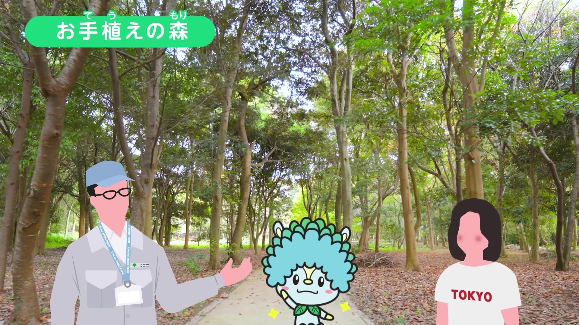 お手植えの森の写真