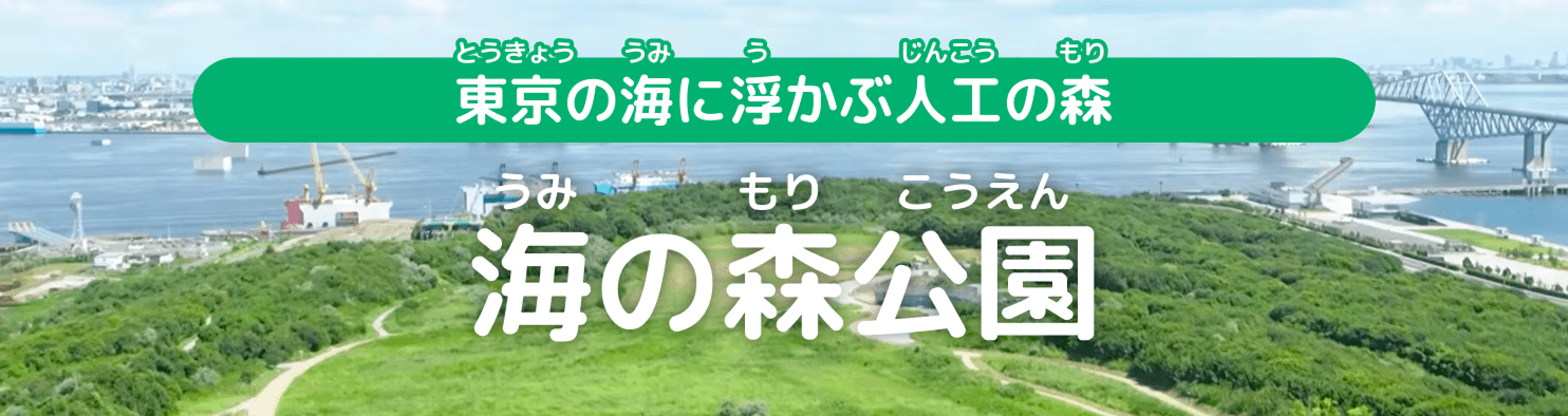 東京の海に浮かぶ人工の森 海の森公園