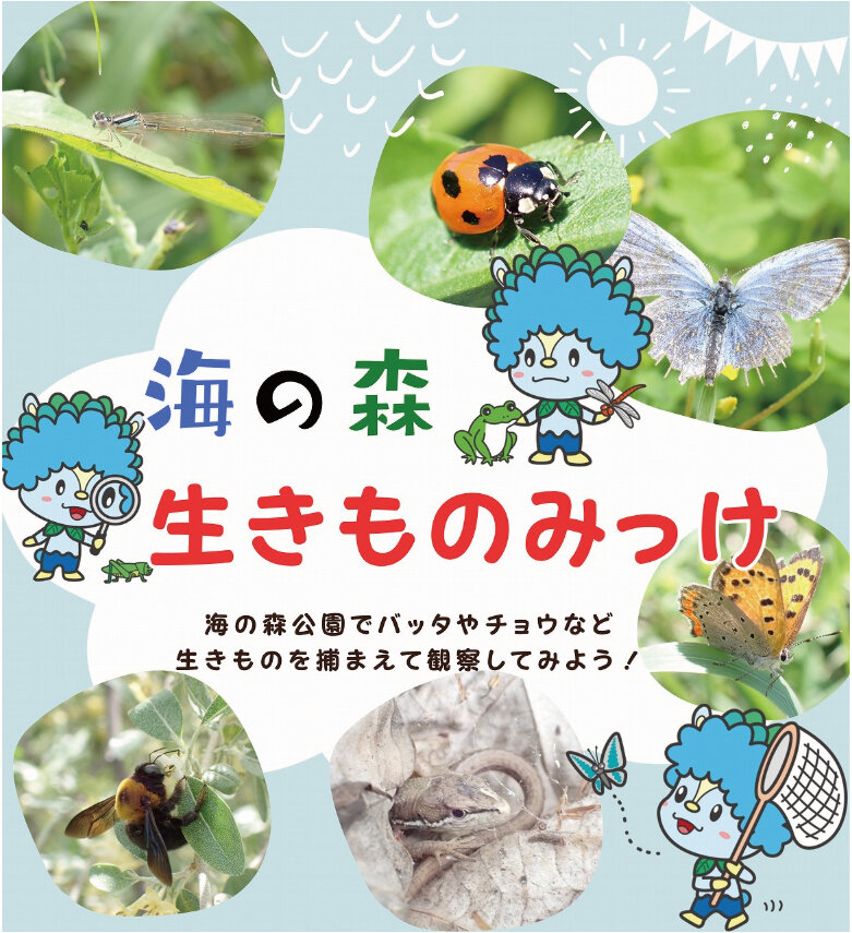 海の森　生きものみっけ