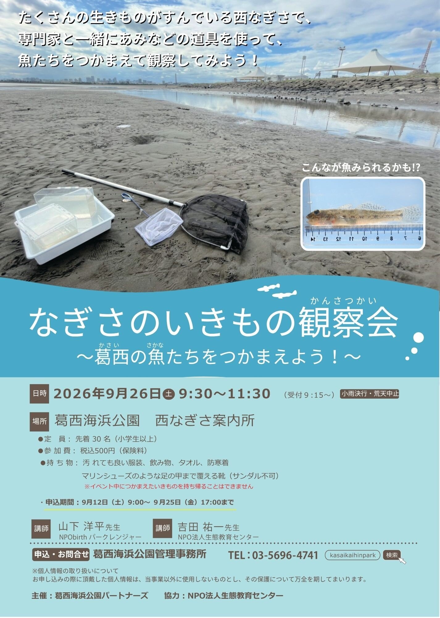 なぎさのいきもの観察会〜葛西の魚たちをつかまえよう！〜